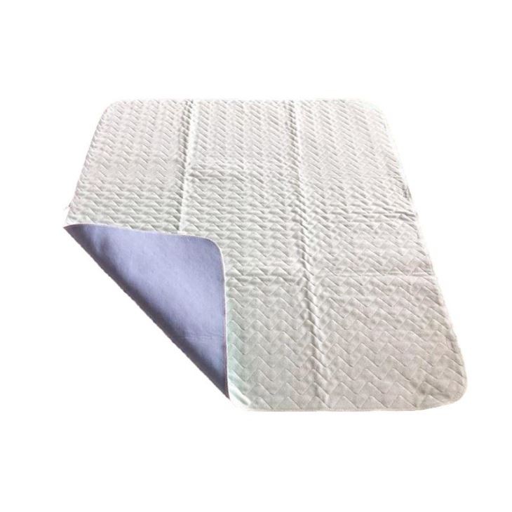 Teri - Kattalar uchun do'stona poydevor